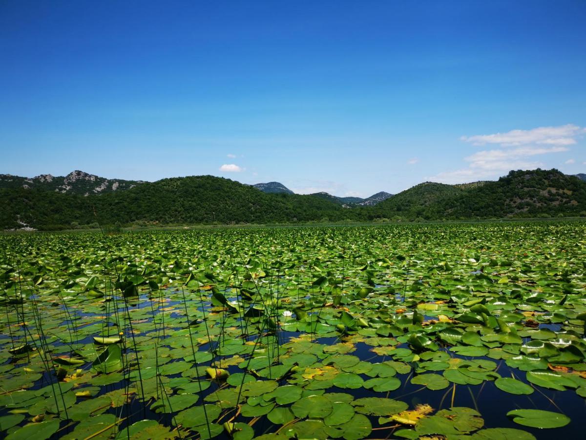 Apartment Dapcevic Skadar Lake Vranjina Esterno foto