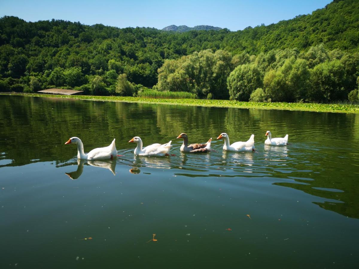 Apartment Dapcevic Skadar Lake Vranjina Esterno foto