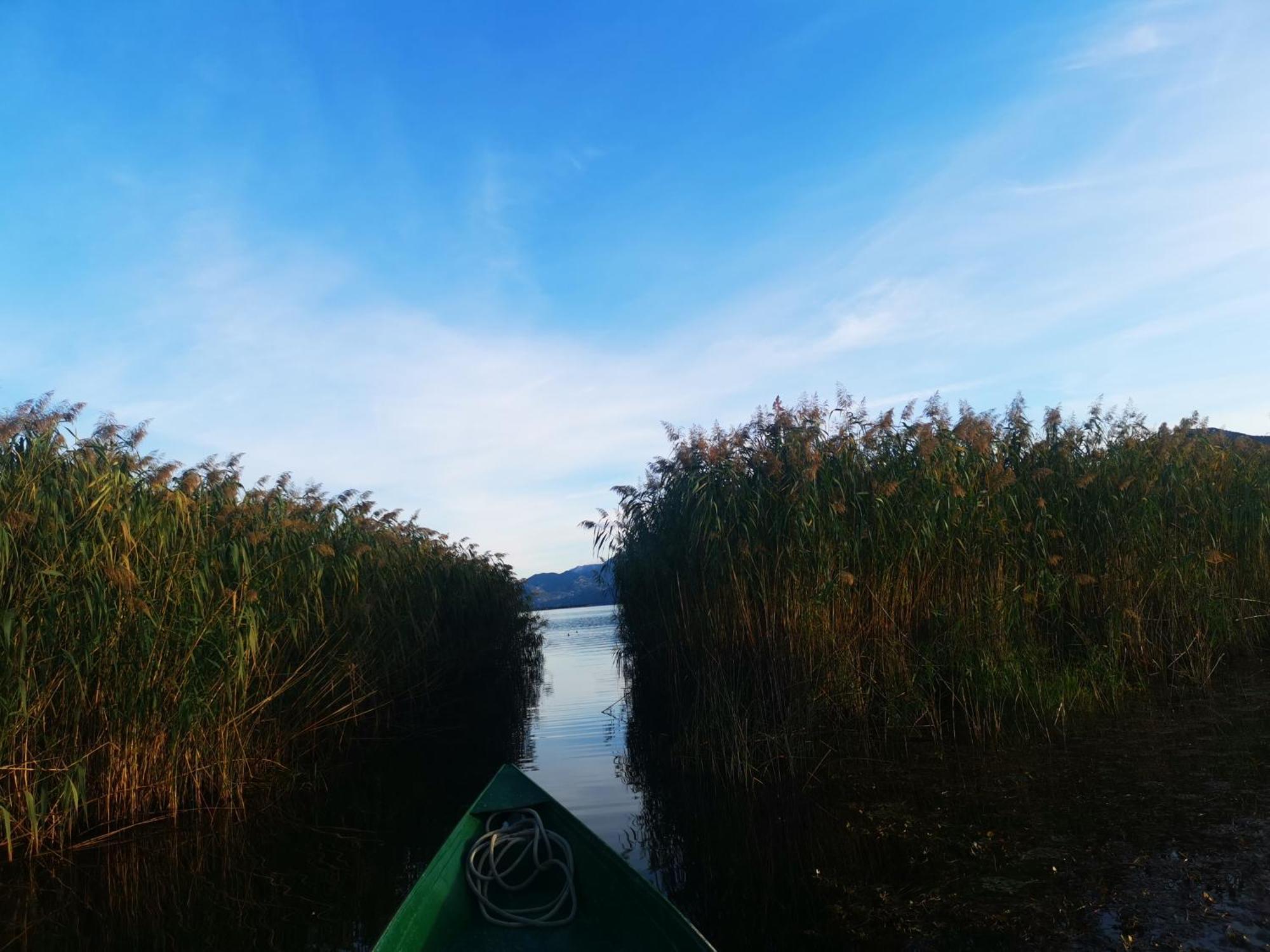 Apartment Dapcevic Skadar Lake Vranjina Esterno foto