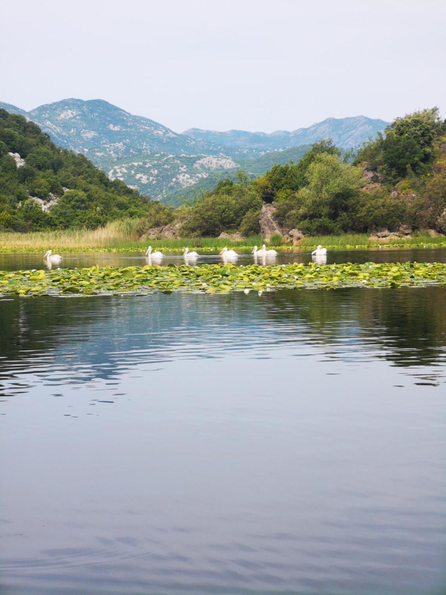 Apartment Dapcevic Skadar Lake Vranjina Esterno foto