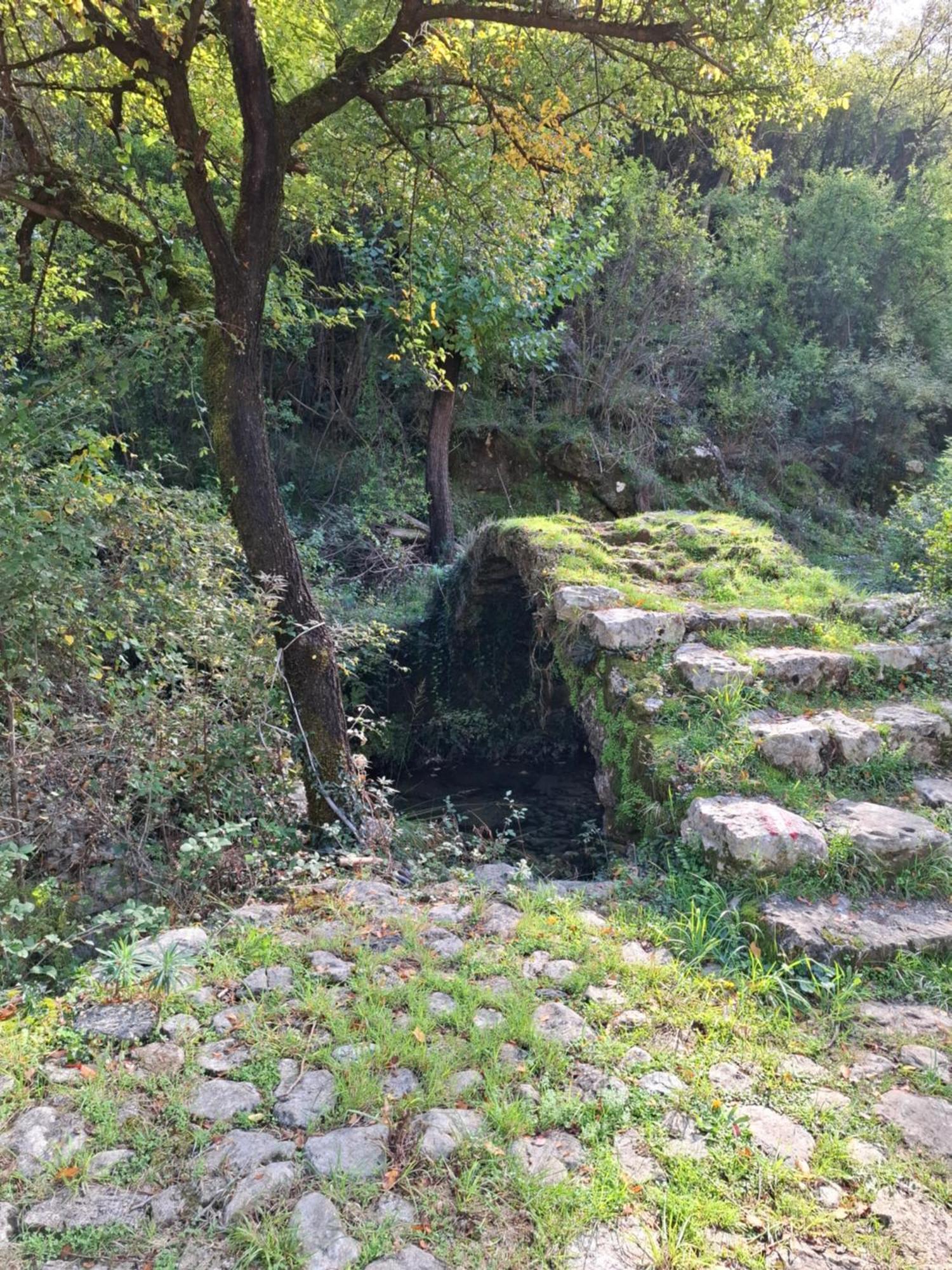Apartment Dapcevic Skadar Lake Vranjina Esterno foto